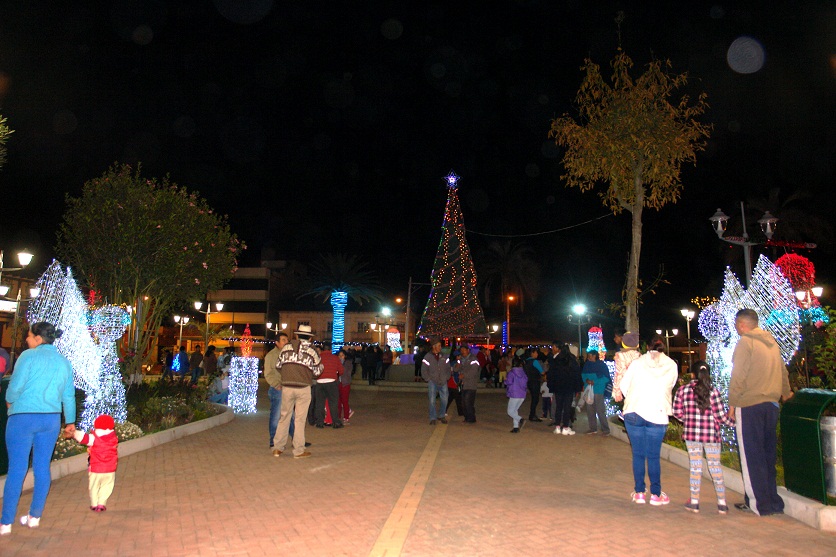 DSC04820