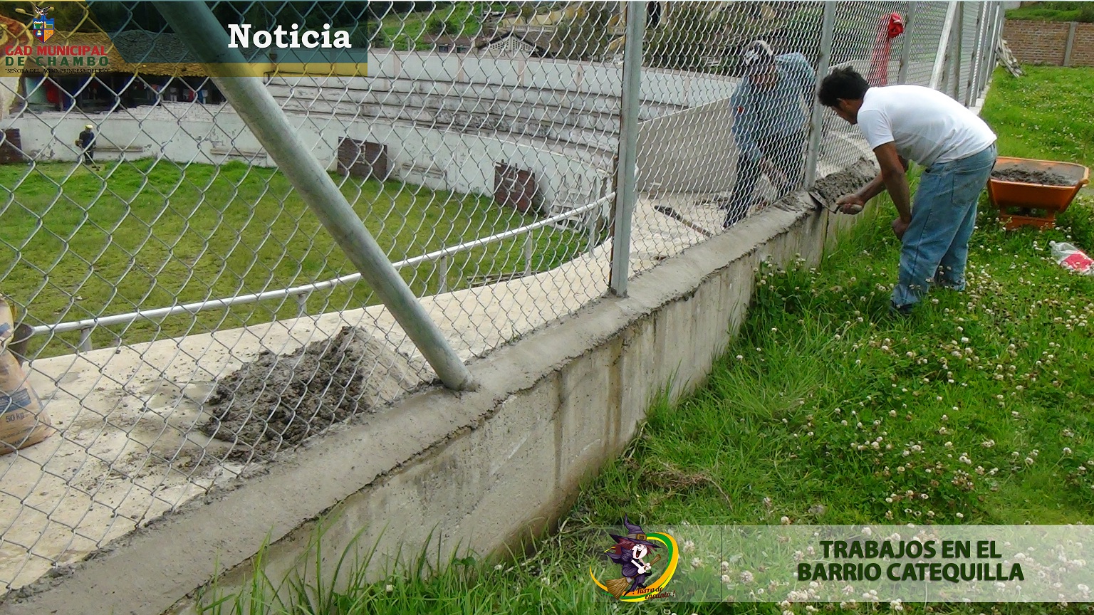 catequilla